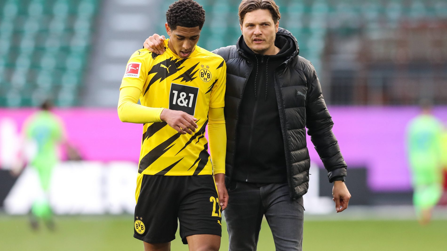 Sportradar与ICC签订数据合作